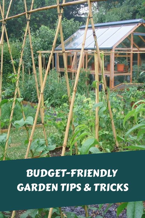 Budget-friendly vegetable garden with a greenhouse in the background. Allotment Ideas Budget, Recycled Garden Ideas, Gardening On A Budget, Frugal Gardening, Wooden Raised Garden Bed, Cheap Garden, Upcycle Garden, Garden Hacks, Eco Friendly Garden