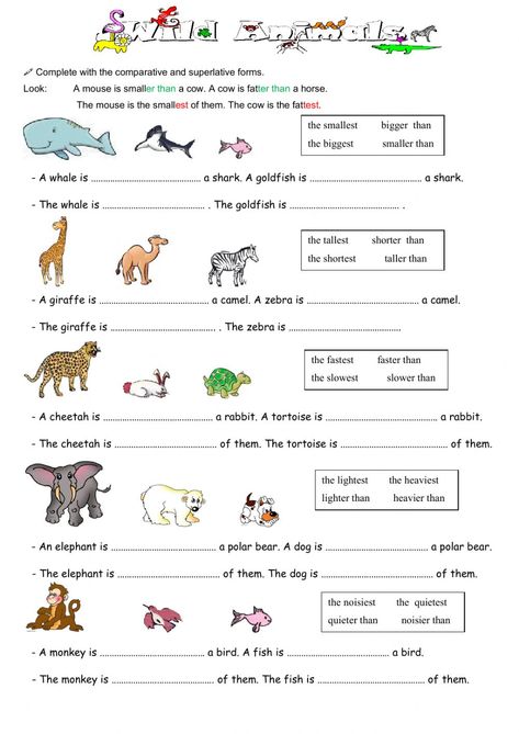 English Comparatives And Superlatives, Comparatives And Superlatives Anchor Chart, Superlative Adjectives Worksheets, Superlative And Comparative Worksheet, Comparative And Superlative Adjectives, Comparative Adjectives Worksheets, Comparative And Superlative, Superlatives Worksheet, Comparative And Superlative Worksheets