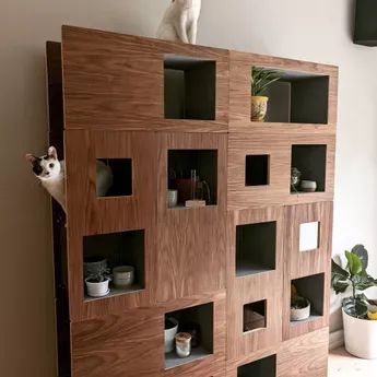 Cat Houses Indoor, Cat Climbing Tree, Cat Wall Shelves, Modern Cat Furniture, Cool Bookshelves, Modern Cat Tree, Cat Towers, Hexagon Shelves, Cat Tree Condo