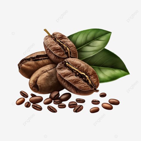 coffee beans coffee leaves transparent Coffee Bean Illustration, Coffee Beans Illustration, Beans Illustration, Coffee Leaves, Leaf Cartoon, Coffee Splash, Coffee Leaf, Coffee Shop Logo Design, Coffee Tree