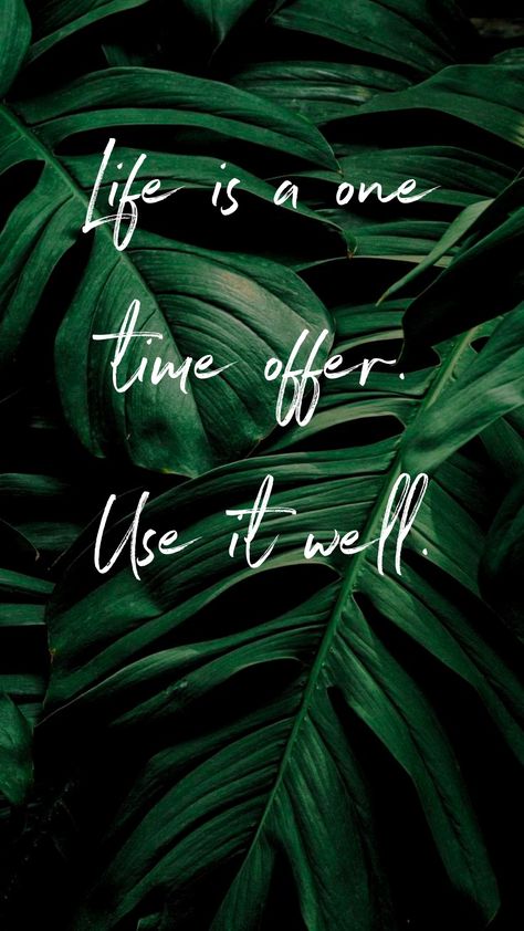 Positive Wallpapers Green, Green 4k Wallpaper, Motivational Backgrounds, Tropical Quotes, Brain Wash, Buddha Canvas Art, Green Nature Wallpaper, Chill Quotes, Fireworks Pictures