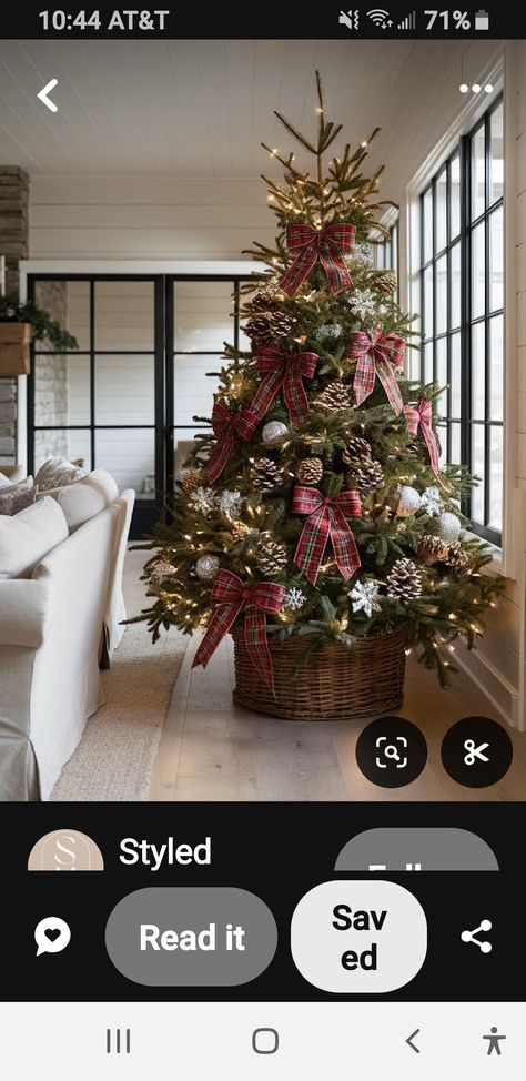 Christmas Tree Display, Tree Display, Christmas Trees, Trees, Christmas Tree, Holidays, Christmas