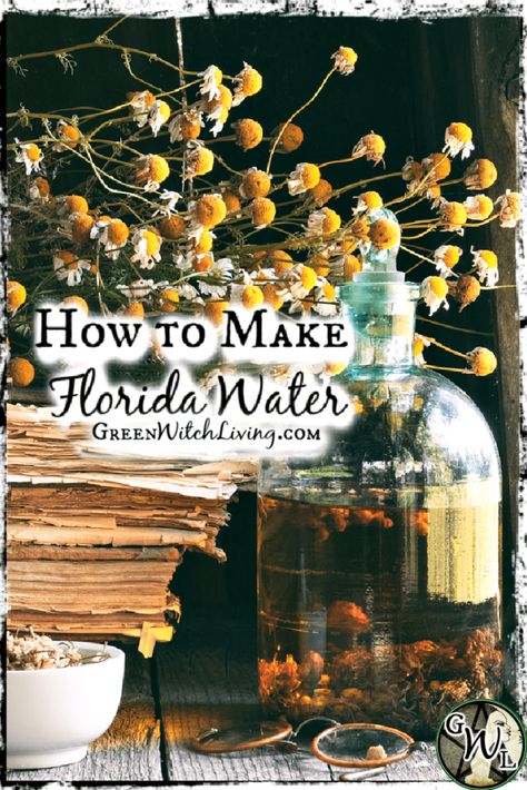 Basil Floor Wash Spell, Florida Water Diy, Diy Florida Water Recipe, How To Make Florida Water, Green Witch Home, Florida Water Recipe, Tar Water, Herb Tips, Diy Witch