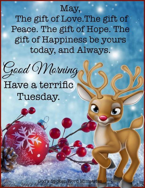 Good Morning Tuesday Christmas Images, Christmas Monday Morning Quotes, Good Morning Tuesday Winter Images, Happy Tuesday Christmas, Good Morning Monday Christmas Images, Pray For Patience, Thankful Tuesday, Winter Blessings, December Scriptures