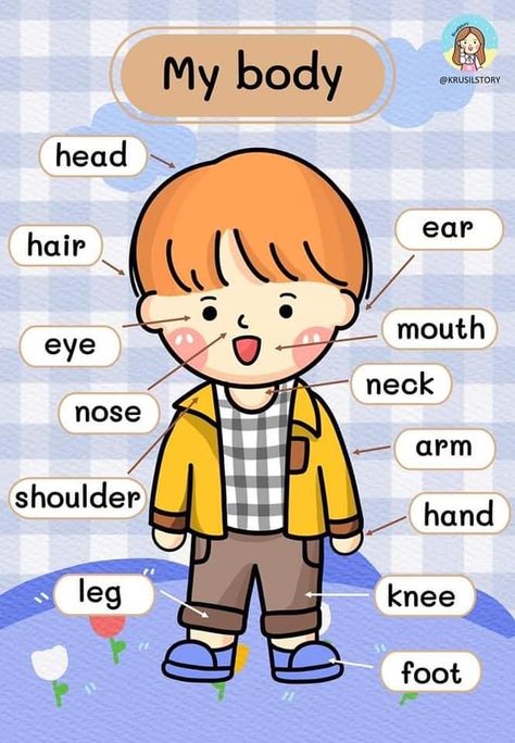 Gardening On A Budget, Body Parts For Kids, Preschool Charts, Teach English To Kids, Body Parts Preschool, English Activities For Kids, Kids Worksheets Preschool, Learning English For Kids, Kindergarten Learning Activities