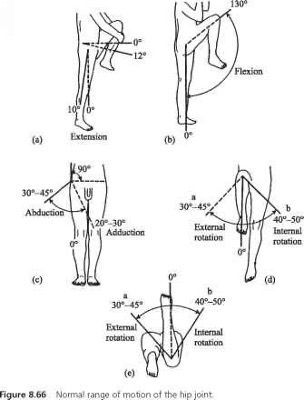 Range Of Motion Chart, Shoulder Range Of Motion, Message Therapy, Draw Hands, Musculoskeletal System, Human Body Anatomy, Muscle Anatomy, Human Anatomy And Physiology, Medical Anatomy