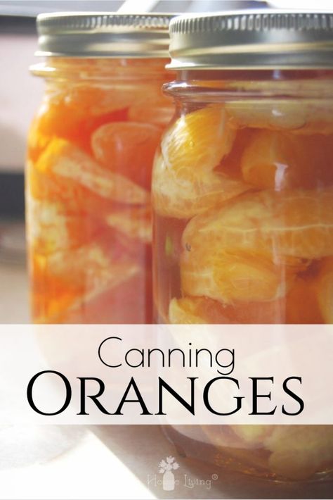 Have you ever tried canning oranges? Learn how to preserve oranges to make them shelf-stable for months to come with this easy picture tutorial! #canningoranges #preserving #canning #oranges Canned Oranges, Preserve Oranges, Canning Oranges, Preserving Foods, Canning Fruit, Home Canning Recipes, Canned Fruits, Canning Food, Canning Food Preservation