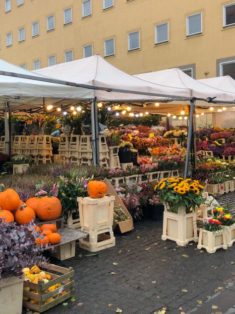 Stockholm Autumn Aesthetic, Autumn In Sweden, Life In Sweden Aesthetic, Stockholm Fall Aesthetic, European Fall Aesthetic, Scandinavian Autumn Aesthetic, Fall In Copenhagen, Living In Sweden, Sweden Aesthetic Summer