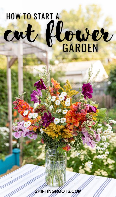 Flower Garden At Home, Starting Cut Flower Garden, Flower Arrangements From The Garden, Planting Cut Flower Garden, Potted Wildflowers Gardens, Backyard Wildflower Garden Flower Beds, Diy Garden Raised Beds, How To Make A Cut Flower Garden, Flower Raised Bed Ideas