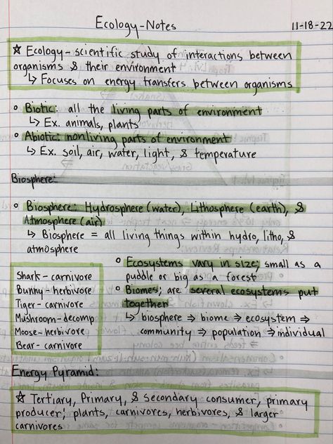 Environmental Studies Notes, Ecology Study Notes, Ecology Notes Aesthetic, Environmental Science Notes, Life Science Notes, Ecology Notes, Zoology Notes, Environmental Science Major, Climate Activities