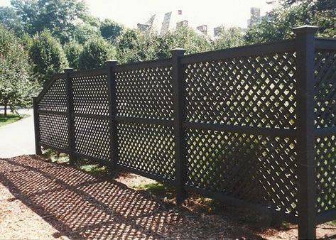 Backyard Ideas For Renters, Black Lattice, Cheap Fence, Fencing Ideas, Lattice Fence, Backyard Privacy, Front Yard Fence, Cedar Fence, Fence Art