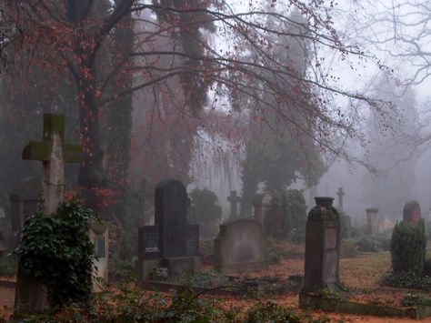 Lockwood And Co, Old Cemeteries, Southern Gothic, The Fog, The Secret History, Ghost Stories, Samhain, Graveyard, Cemetery