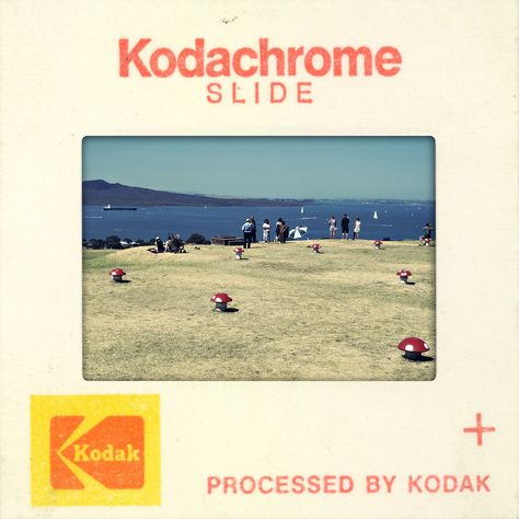 Kodachrome slides, oh yeah, I think there's a bunch in the closet..... Travel Polaroids, Kodachrome Slides, Site Design Ideas, Gangster Tattoo, Blast To The Past, Kodak Photos, Zine Ideas, Buch Design, Cardboard Frame