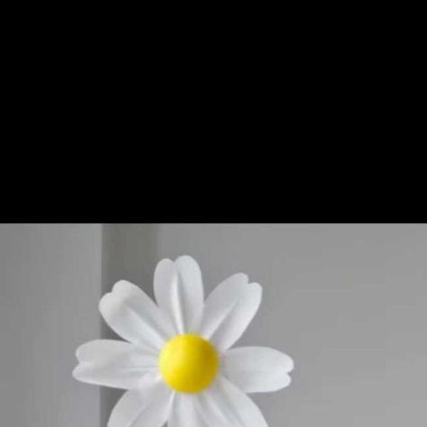 Daisy Tutorial, Paper Daisy, Giant Flowers, Handmade Flowers, Daisy Flower, Diy Paper, Event Decor, Flower Decorations, Paper Flowers