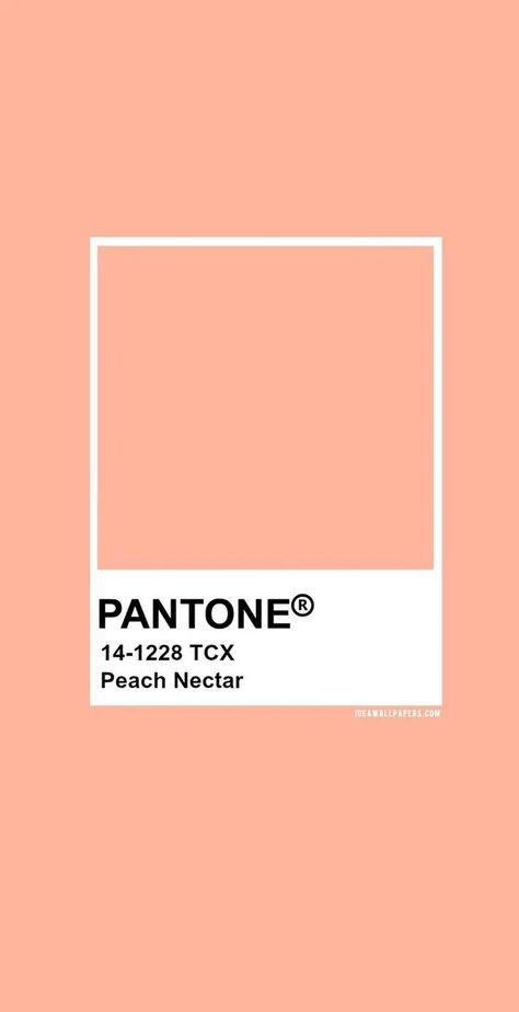 Geometric Wallpaper Iphone, Color Inspiration Boards, Peach Nectar, Pantone Colour Palettes, Peach Wallpaper, Peach Aesthetic, Orange Aesthetic, Just Peachy, Picture Collage