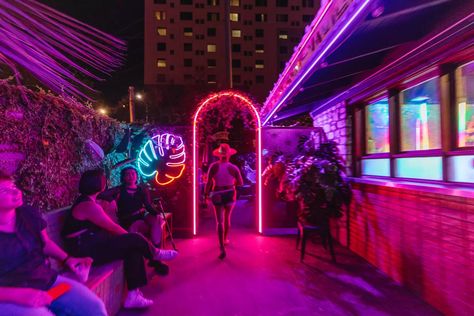 Ultimate Guide to Austin Nightlife: Bars, Clubs, and Dance Halls - Thrillist Austin Texas Nightlife, Austin Vibes, Austin Nightlife, Austin Bars, Movie In The Park, Alamo Drafthouse, Barton Springs, Lady Bird Lake, Disco Club