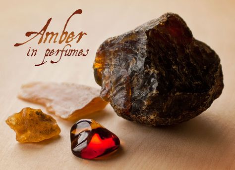 Incense Photography, Amber Parfum, Amber Essential Oil, All Natural Beauty, Amber Oil, Essential Oil Perfumes Recipes, Perfume Recipes, Essential Oil Blends Recipes, Natural Perfume