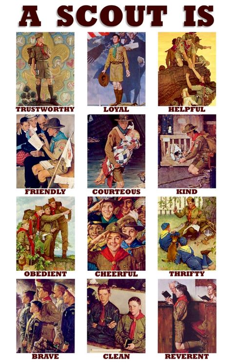 Boy Scout Activities, Cub Scouts Wolf, Boy Scouts Eagle, Cub Scouts Bear, Tiger Scouts, Bear Scouts, Eagle Scout Ceremony, Cub Scout Activities, Norman Rockwell Art