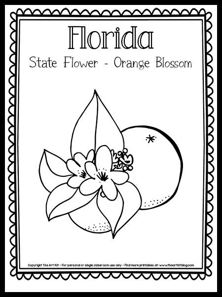 Florida State Flower Coloring Page (the Orange Blossom!) {FREE Printable!} - The Art Kit Florida State Flower, Florida State Flag, Cute Simple Tattoos, Pumpkin Decorating Contest, Homeschool Geography, The 50 States, Fruit Coloring Pages, Flag Coloring Pages, State Symbols