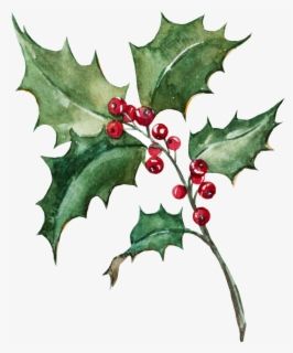 Holly Clipart, Christmas Leaves, Holly Christmas, Holly Leaves, Holly Berry, Flower Printable, China Painting, Month Flowers, Birth Month Flowers