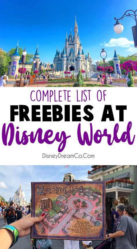 Disney World Honeymoon, Disney World Tips, Disney World Secrets, Disney Honeymoon, Disney On A Budget, Disney Secrets, Disney World Vacation Planning, Family Disney Trip, Disneyland Vacation