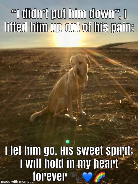 I Miss My Dog, Dog Heaven Quotes, Promise Quotes, Miss My Dog, Dog Poems, Southern Comfort Food, Dog Quotes Love, Dog Heaven, Pet Remembrance