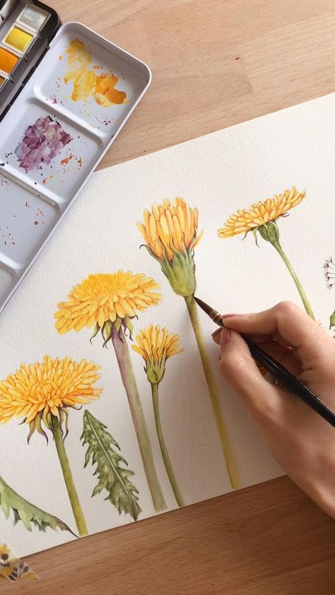 Pin on Rosie's Sketchbook Art Watercolor Dandelion, Dandelion Painting, Watercolor Flowers Tutorial, Diy Watercolor Painting, Watercolor Painting Techniques, Watercolor Flower Art, Cat Air, 수채화 그림, Watercolor Art Lessons