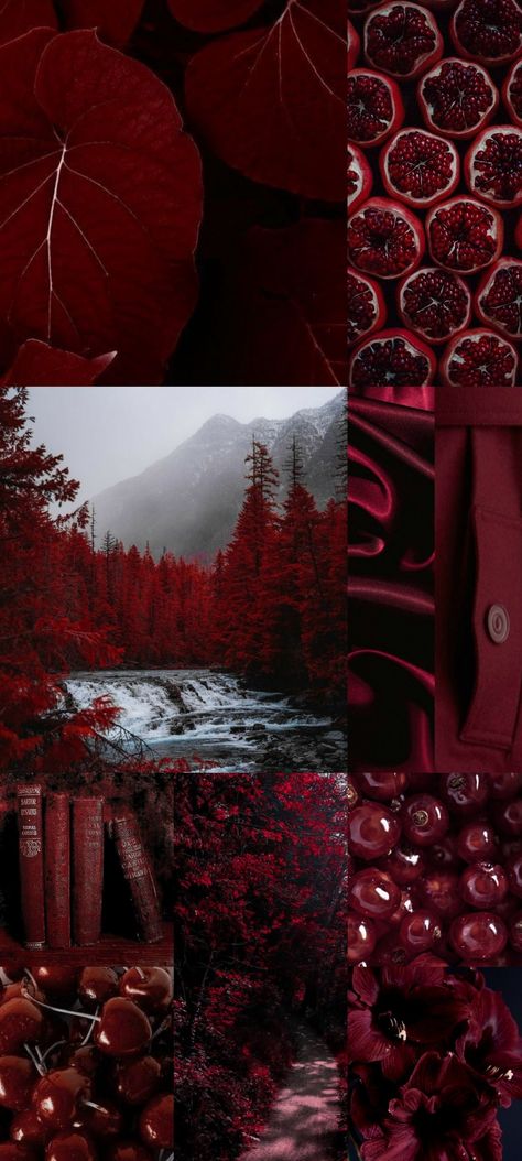 Scarlett Aesthetic Color, Mahogany Red Aesthetic, Teal Burgundy Color Palette, Deep Wine Color Palette, Cranberry Color Aesthetic, Red Jewel Tone Color Palette, Dark Green And Red Color Palette, Amaranthine Color, Ruby Red Color Palette