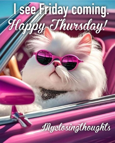 Happy Thursday Pictures, Carol King, Happy Thursday Images, Good Morning Animals, Collection Of Flowers, Thursday Humor, Good Morning Happy Thursday, Happy Thursday Quotes, Happy Day Quotes