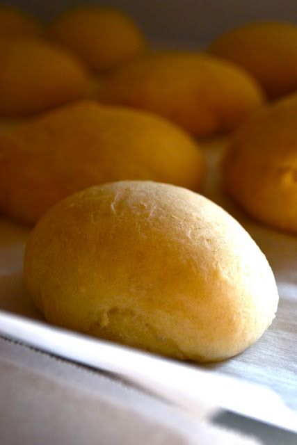 Costco style dinner rolls. I can't wait to try this! Bread Proofer, Baking 101, Baking Bread Recipes, Dinner Rolls Recipe, Bread Bun, Bun Recipe, Bread Recipes Homemade, Dinner Rolls, Rolls Recipe