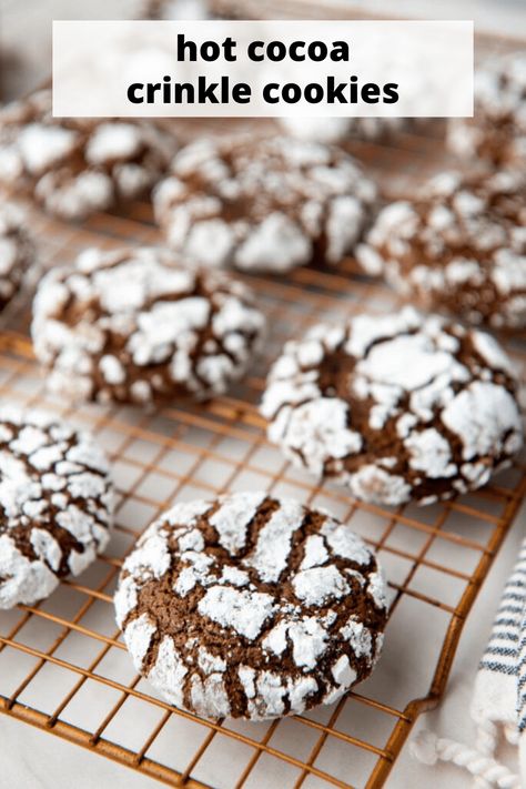 Hot Cocoa Crinkle Cookies melt in your mouth with the rich, chocolatey flavors of hot cocoa and a light dusting of sweet powdered sugar. The perfect chocolate cookie! They won't last long! #hotcocoachocolatecrinklecookies #chocolatecrinklecookies #crinklecookies. #Christmascookies #Christmascookies #Christmascookieexchange #Christmascookierecipe #holidaybaking #holidayrecipes #baking #easyrecipes #goodcookierecipes #comfortfood #comfortfoodideas Fudgy Chocolate Crinkle Cookies, Ginger Crinkle Cookies, Comfort Food Ideas, Hot Cocoa Cookies, Chocolate Crinkle, Mocha Chocolate, Hot Chocolate Cookies, Chocolate Crinkle Cookies, Cookie Recipes Homemade