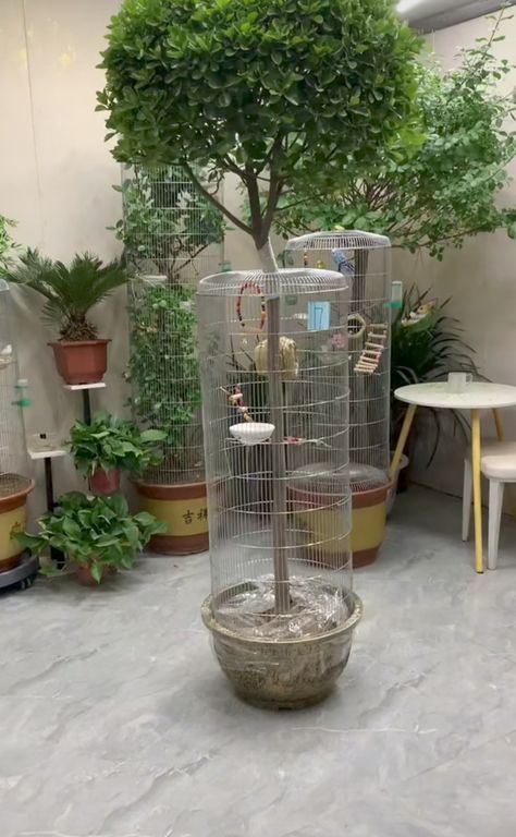 Bird Cages Diy, Birds Cage Ideas Outdoor, Mini Tree House, Bird Enclosure, Birdcage Ideas, Bird Cage Ideas, Diy Bird Cage, Small Bird Cage, Pet Bird Cage