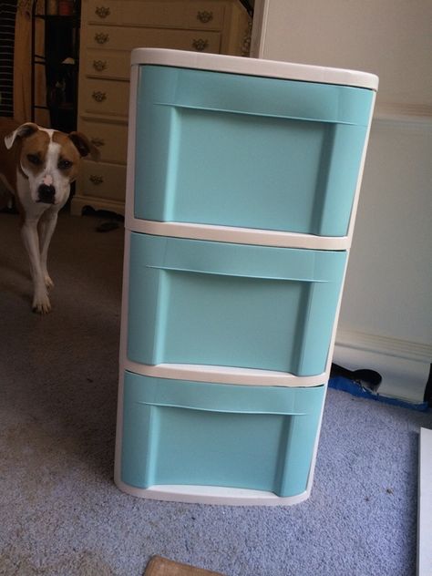 Spray Painted Plastic Drawers, Paint Plastic Drawers, Plastic Drawer Makeover, Drawers Ideas, Plastic Storage Shelves, Spray Paint Plastic, How To Spray Paint, Spray Paint Projects, Upcycle Plastic