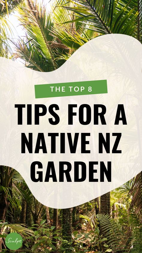 Renowned for dramatic foliage, textures and contrasts, NZ native plants fit in well with any garden design. New Zealand native plants cannot be overlooked for hardiness, low maintenance, longevity, and add interest to the garden. Coastal Gardens New Zealand, Landscaping Ideas New Zealand Garden Design, Nz Garden Design, Nz Native Planting, Native Garden Nz, New Zealand Native Garden Design, Nz Native Garden Ideas, Native Nz Garden, Nz Native Garden Landscape Design New Zealand