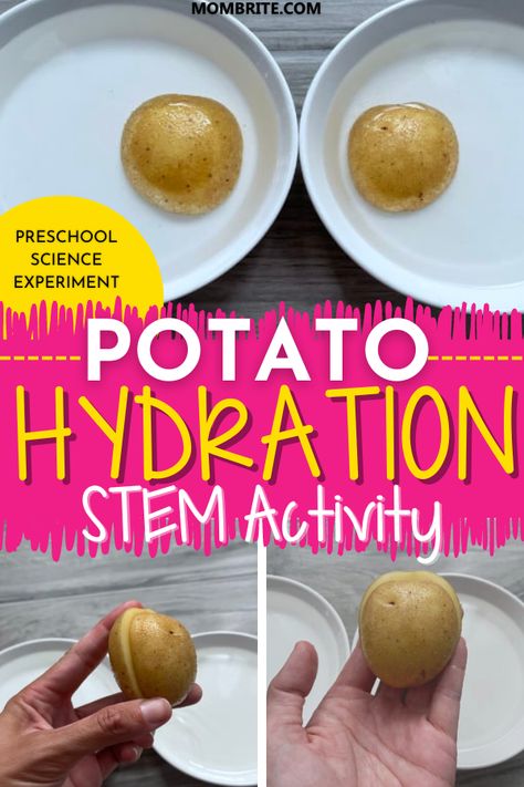 Introduce your little ones to the fascinating world of science with a fun and engaging Potato Hydration Science Experiment! Watch their eyes light up as they explore the concept of dehydration and rehydration in this simple, hands-on activity. It's both a learning experience and a fun activity for curious preschoolers that'll have them begging for more science time! Preschool Nutrition Art, Science Experiments With Food, Vegetable Science Preschool, Food Science Preschool, Food Themed Activities For Kids, Potato Activities For Kids, Nutrition Activities For Kids, Potato Science Experiment, Kitchen Science Experiments