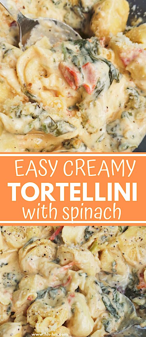 Easy creamy tortellini recipe - super delicious! This tortellini recipe is one of the best dinners I've ever had - creamy, satisfying and I only needed 30 minutes and a pan to make it! Creamy Tortellini With Spinach, Tortellini With Spinach, Cheese Tortellini Recipes, Tortellini Recipe, Creamy Tortellini, Spinach Tortellini, Tortellini Bake, Creamy Pasta Recipes, Tortellini Recipes