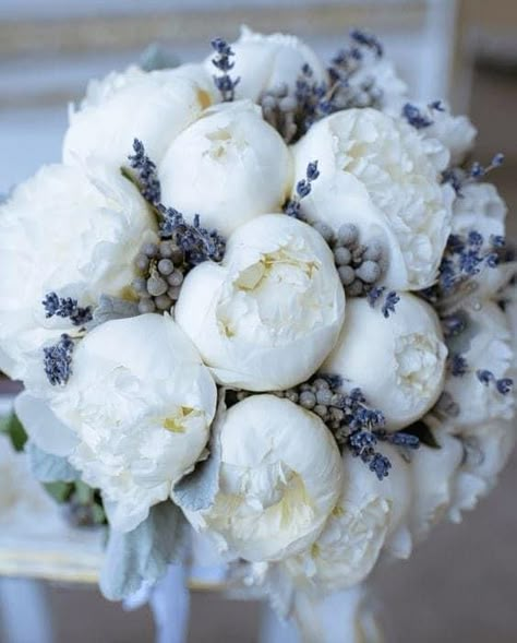 Beautiful Flower Arrangements, Luxury Flowers, Flower Bouquet Wedding, Love Flowers, My Flower, Flower Shop, Pretty Flowers, Fresh Flowers, Bridal Bouquet