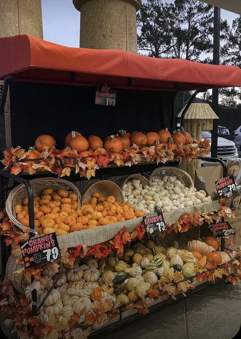 Merchandising Ideas, Trader Joe’s, Trader Joe, Christmas Display, Trader Joes, Merry Christmas, Christmas