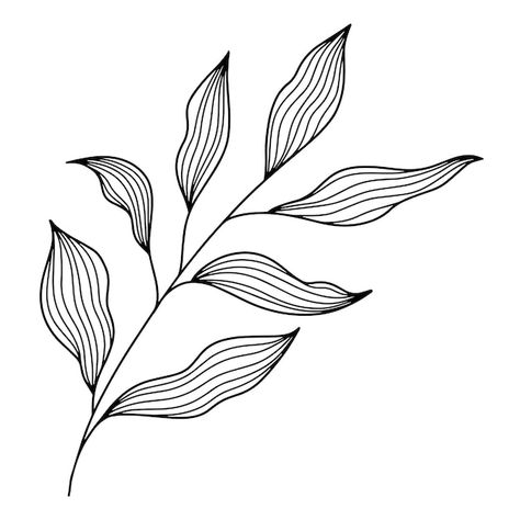 Vector Leaf Pattern, Flower Branches Drawing, Botanical Leaf Illustration, Leaf Pattern Drawing, Plant Line Illustration, Leaf Branch Drawing, Leaves Outline Drawing, Plant Outline Drawing, Leaves Drawing Simple