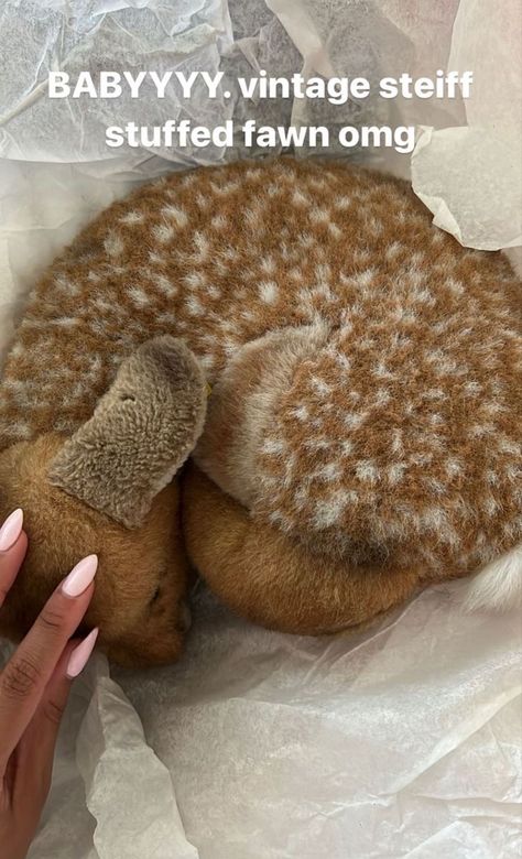 Macy Sorensen, Love Other Words, Fawn Plush, Baby Deer, Just Girly Things, Sweet Girls, Girly Things, Deer, Cute Animals