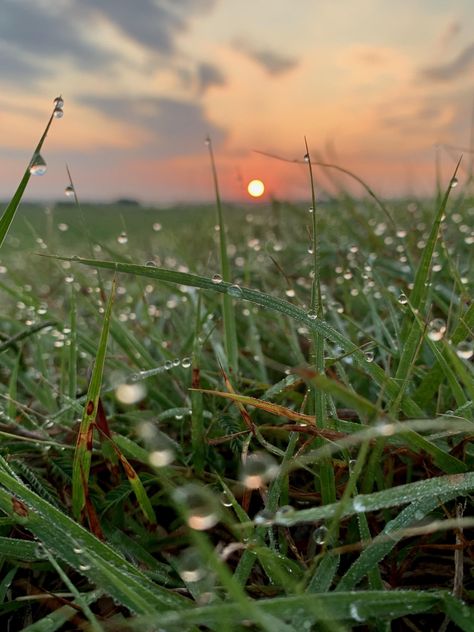 Texas Sunrise [OC] [1600x1200]  Click the link for this photo in Original Resolution.  If you have Twitter follow twitter.com/lifeporn5 for more cool photos.  Thank you author: https://bit.ly/3iiCNWn  Broadcasted to you on Pinterest by pinterest.com/sasha_limm  Have The Nice Life! Texas Sunrise, Sunset Photography Nature, Diorama Ideas, Sunrise Landscape, Beautiful Profile Pictures, Alight Motion, Wallpaper Nature Flowers, National Photography, Beautiful Locations Nature