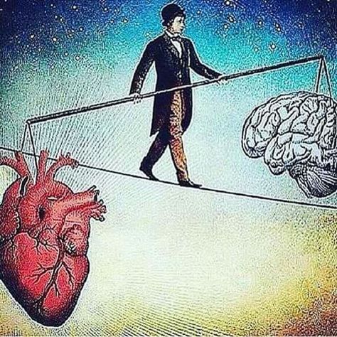 The Balancing act between heart and brain is never ending. Heart And Brain, Meaningful Pictures, Deep Art, Lord Voldemort, Meaningful Art, Human Heart, Deep Meaning, Heart And Mind, One Pic