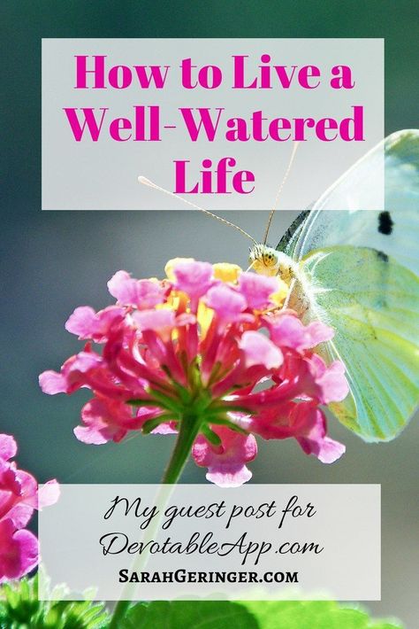 Learn what Psalm 1 tells us about living a well-watered life for God's glory. #biblestudy #psalms #psalm1 #spiritualgrowth #proverbs31woman #livingfreetogether Well Watered Women, Growing Spiritually, Church Fellowship, Christian Meditation, Psalm 1, Soul Care, God's Glory, Book Of Psalms, Inspirational Verses