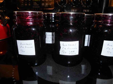 How To Can Blueberry Pie Filling, Blueberry Pie Filling Recipes Canned, Blueberry Preserves Desserts, Blueberry Pie Filling Canning, Canning Frozen Blueberries, Canning Blueberry Pie Filling Recipes, Canning Blueberry Pie Filling, Berry Pie Filling Recipe, Canning Sauces