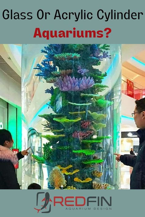 Cylinder aquariums are durable and safe for your tropical fish and invertebrates, but glass aquariums provide a vastly superior visual experience. Aquarium Saltwater, Aquascape Ideas, Artificial Coral, Glass Aquarium, Aquarium Design, New Tank, Circular Pattern, Curved Glass, Cylinder Shape