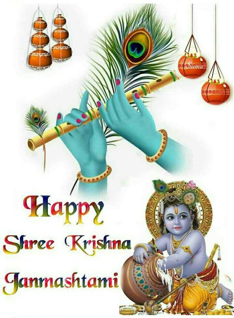 Janmashtami Good Morning, Janmashtami Image, Janmashtami Photos, Happy Janmashtami Image, Wish Board, Happy Pongal, Holi Wishes, God Sticker, New Year Pictures