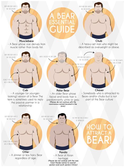 Above is a definite guide to the most common gay male bear species. Each category has a description of a particular bears characteristics.  In modern gay society it is not as easy as categorizing bears into carnivorous and herbivorous categories. Bears now have non-definite categories to attribute to themselves. #gay #bear Bear Tattoo Meaning, Male Bear, Bear Species, Chubby Guy, Bear Pride, Bear Man, Bear Tattoo, Beefy Men, Muscle Bear