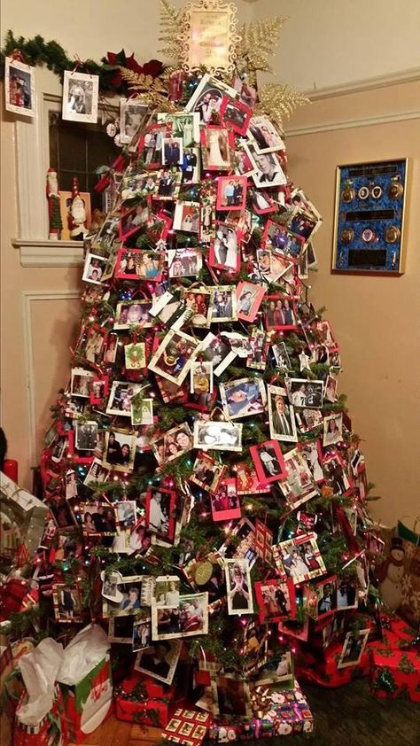 Christmas Tree Family Pictures Photo Ornaments, Family Picture Christmas Tree, Old School Christmas Tree, Festival Tree, Family Tree Christmas, Old Christmas Cards, Christmas Tree Festival, Christmas Cookie Party, Photo Christmas Tree