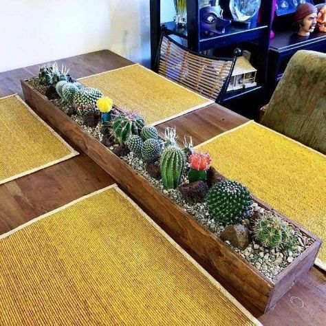 Pinterest Plant, Mini Cactus Garden, نباتات منزلية, Tafel Decor, Wooden Planter, Cactus Decor, Indoor Gardens, House Plants Decor, Succulent Terrarium