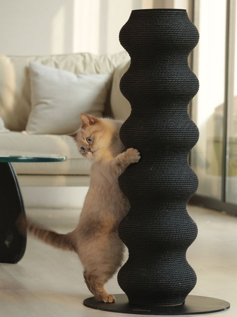 Indulge your feline friend with the Colossal Curvy Clawer - a stunning cat scratching post that blends form and function. Its elegant curves and stylish design make it a beautiful addition to any home. Cat Scratching Post Living Room, Home Decor For Cats, Aesthetic Cat Scratcher, Diy Cat Scratcher Post, Diy Cat Post, Diy Scratching Post For Cats, Cat Scratching Wall, Cat Architecture, Stylish Cat Furniture